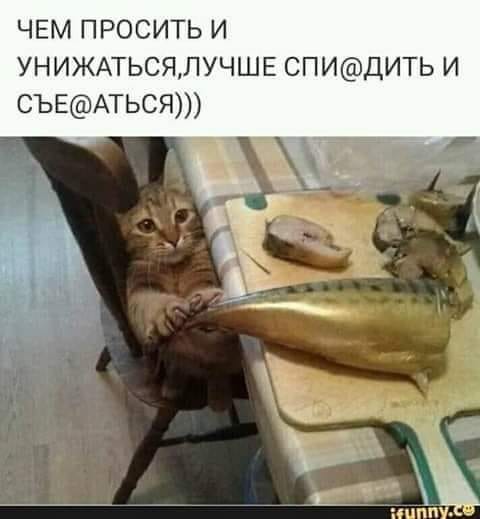 Новогодние шутеечки