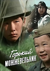 Малоизвестные фильмы про Великую Отечественную войну