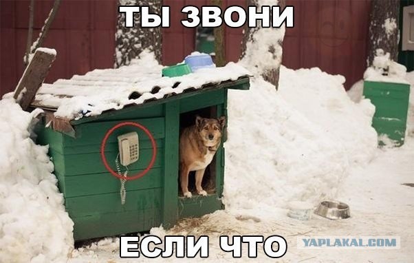 В Крыму обяжут платить за обсерваторы приезжающих «бесцельно»