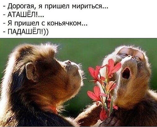 Чуток картинок 25.05.20