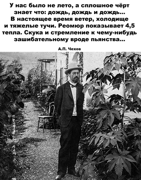Из чебурека в расстегай