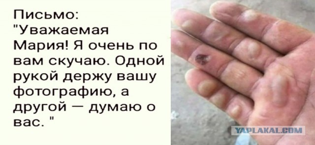 Немного картинок для настроения 25.06.20