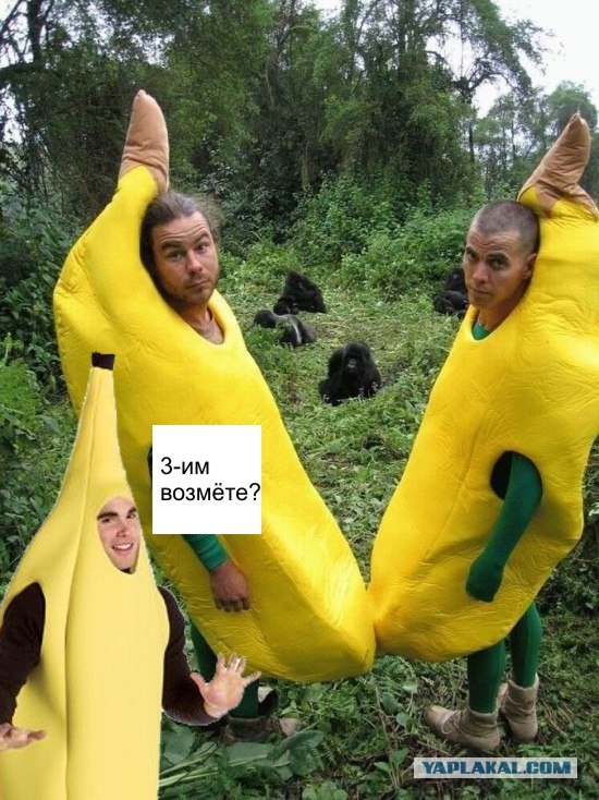 Друзья обезьян