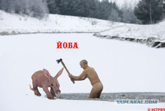Голый ледоруб машет топором!
