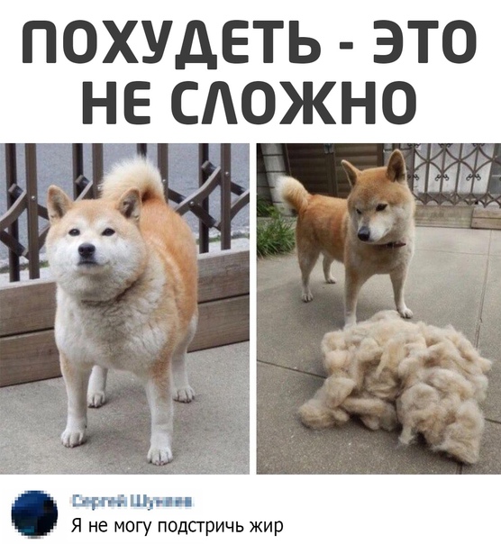 Картинки всякие 21.11.20