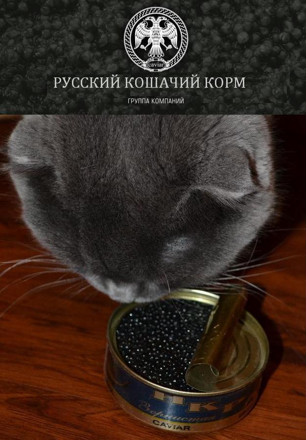Выиграй 3кг черной икры!