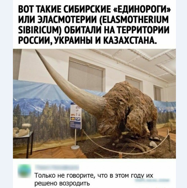 Картинки и мемы для настроения 029