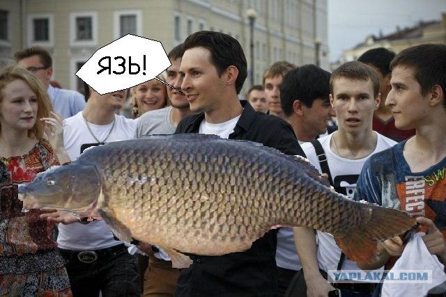 Фотожаба: Паша уже не тот