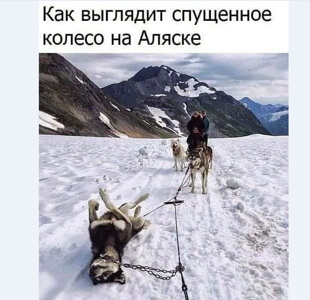 Картинки и мемы для настроения 015