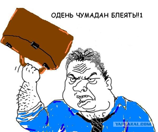 Перевод пипец просто ! Смотреть до конца!