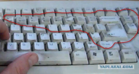 Нашла гнездышко!