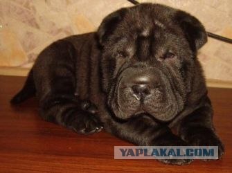 Девушка после визита к стоматологу