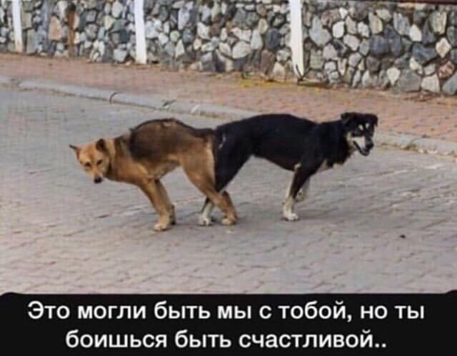 Интимная тема. Про неё