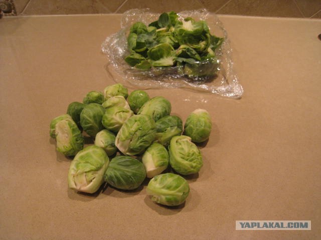 Капуста International, Наступила осень, отцвела капуста...