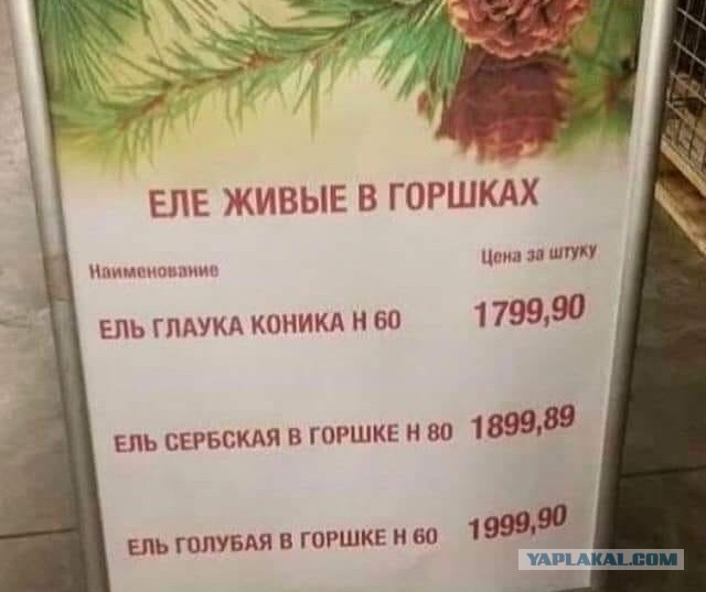 Так себе картинки 30.10.21
