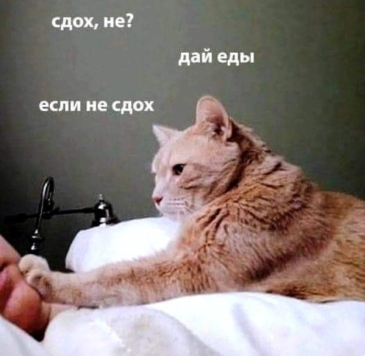 Взросление друга