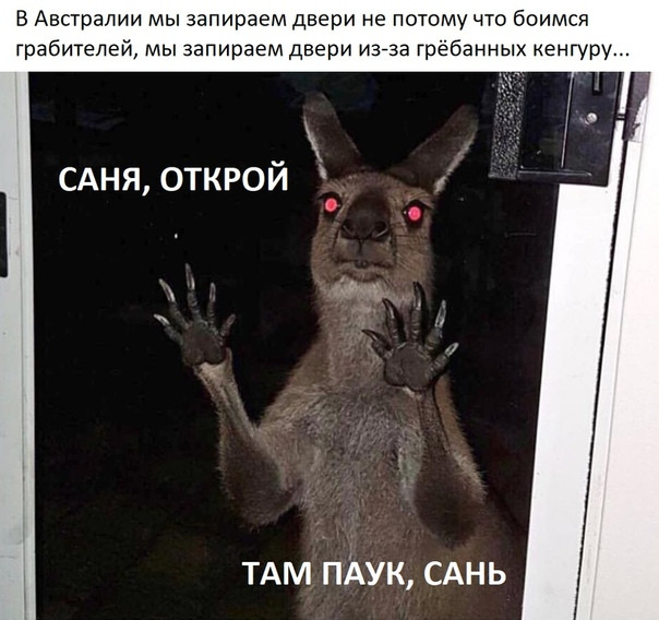 Австралия, я люблю тебя