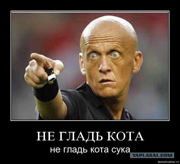 ТруЪ демотиваторы