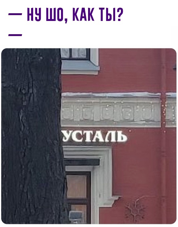 Картинки и мемы для настроения  - 25