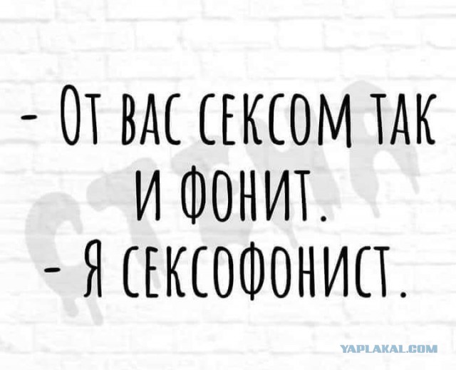 Немного пошлых картинок с надписями