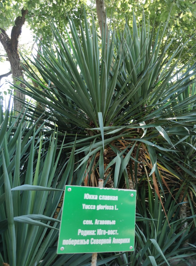 Вот моя деревня-1