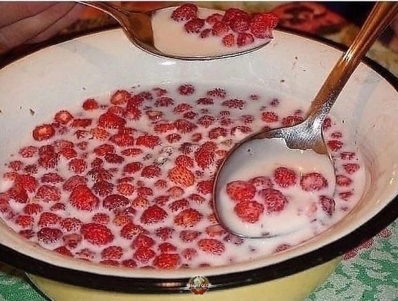 Земляника