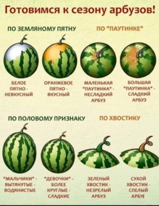 Картинки и мемы - "Жить, как говорится, хорошо..."