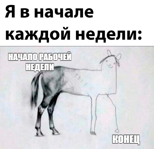 Картинки и мемы для настроения - 15