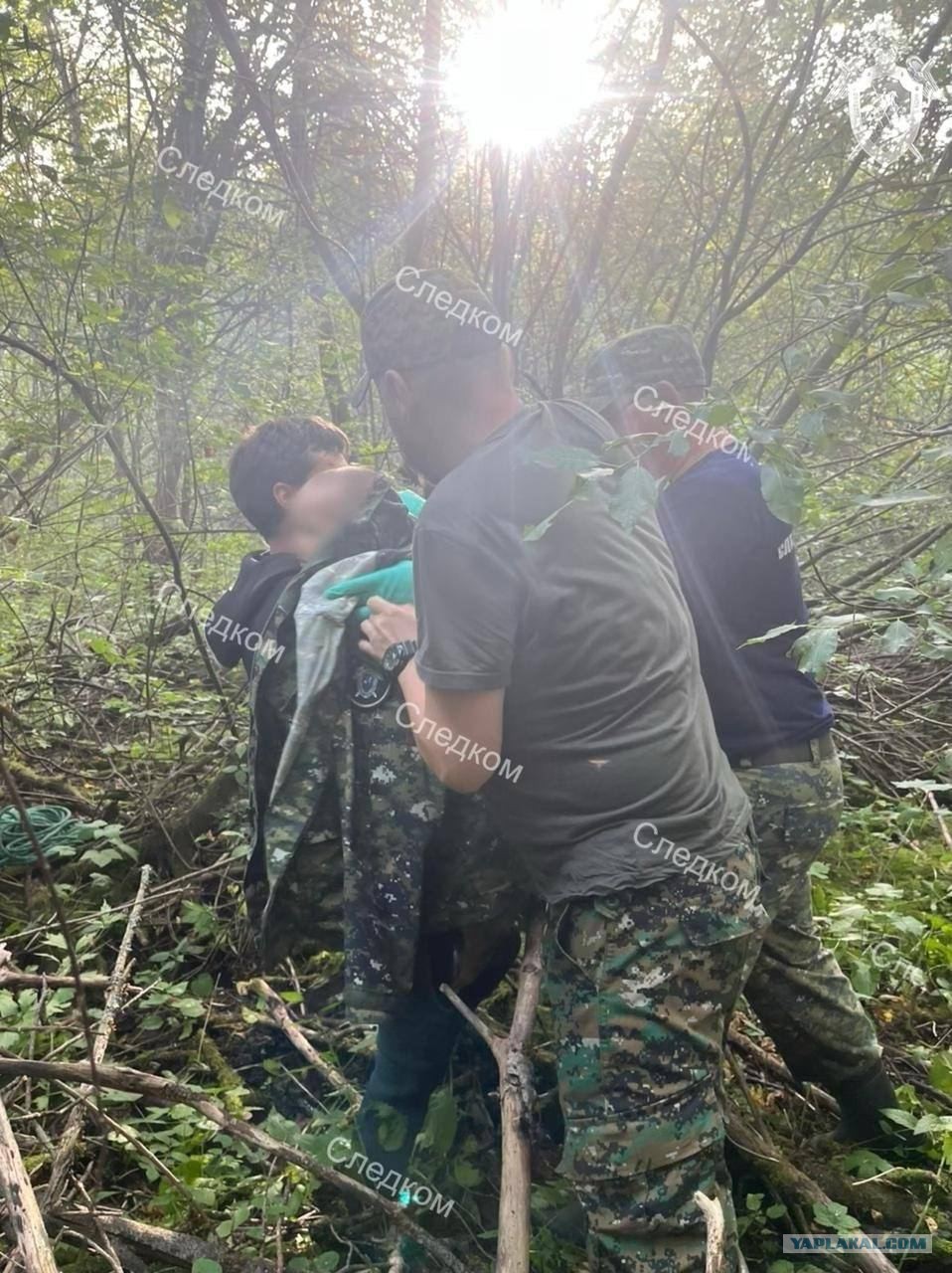 спасение охотника который потерялся в лесу гта 5 фото 54