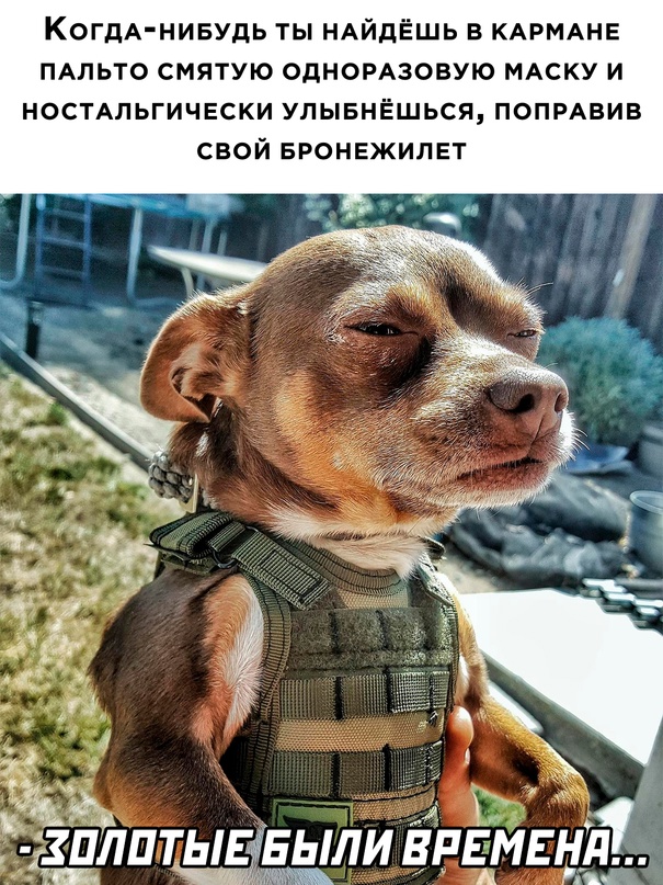 Немного картинок для настроения - 123