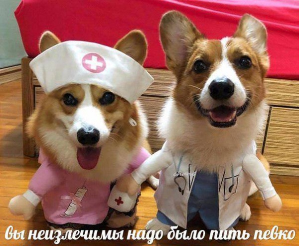 Картинки и мемы для настроения - 119
