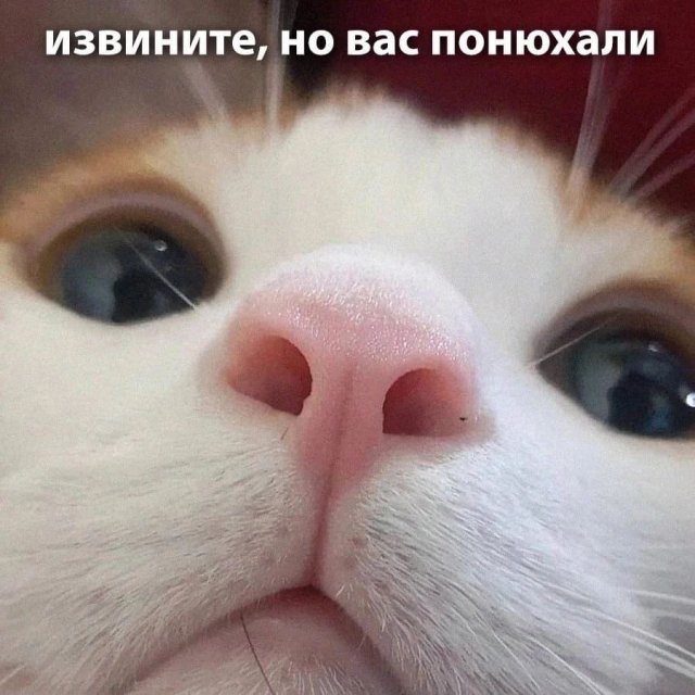 Так себе картинки 22.11.22