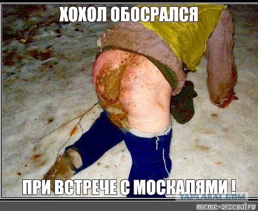 Украинцы попросили Эстонию отказаться от праздничных фейерверков