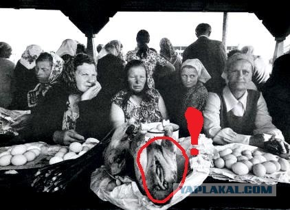 Интересные фотографии времен СССР