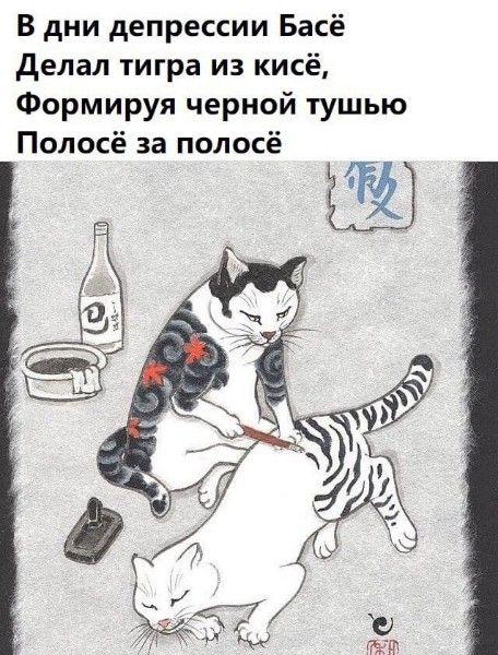 Коты-самураи