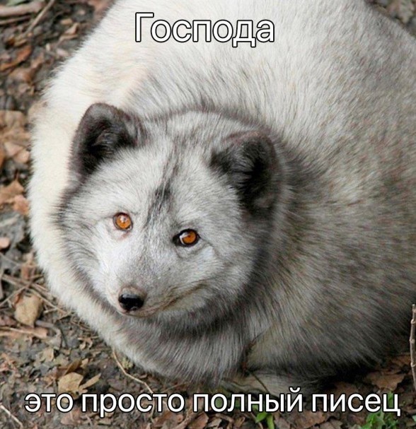 Путин вносит в Думу поправки в статьи об информировании Совета Европы о военном положении