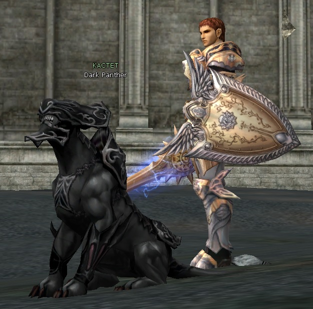 Игре lineage 2 - 20 лет.