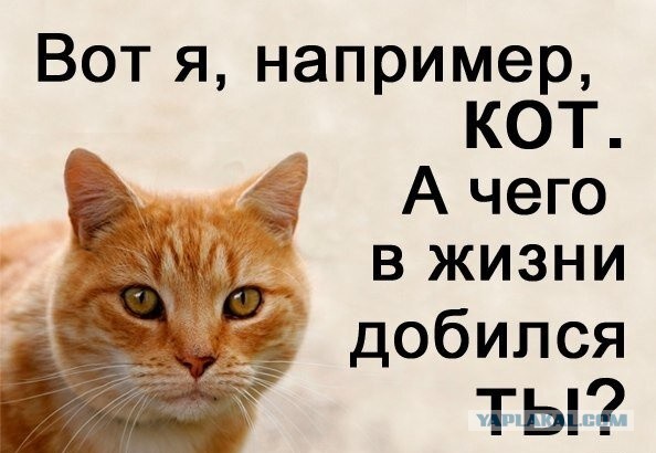 Знаменитая фотография 1997 года: кем стали «ботаники» в роговых очках спустя 26 лет