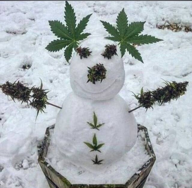 Снеговики, которых слепили очень креативные люди