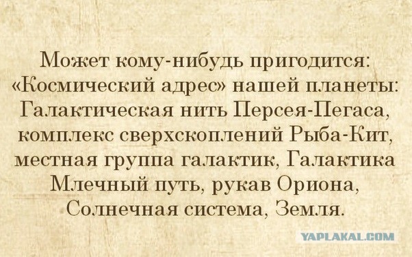 ФотоВинегрет из 50 пикч