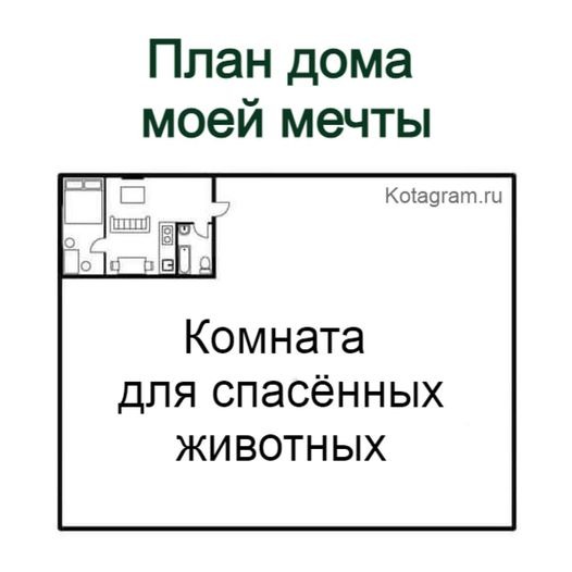 Всего понемногу. От 04.03.24