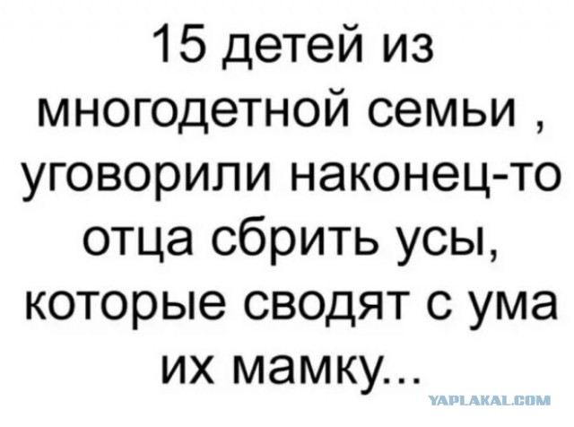 Звание «Мать-героиня» присвоено 43-летней жительнице Соснового Бора Ольге Кравцовой. У неё 11 сыновей и 7 дочерей