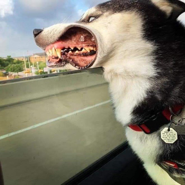 ФотоВинегрет