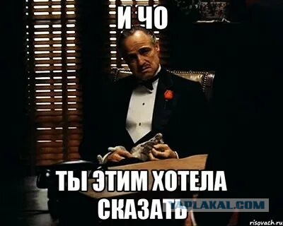 Проездом через Камышин