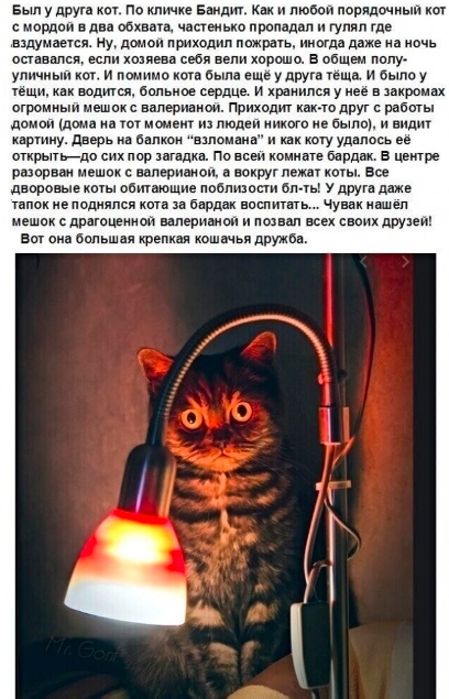 Веселые картинки в пятницу (28.03)