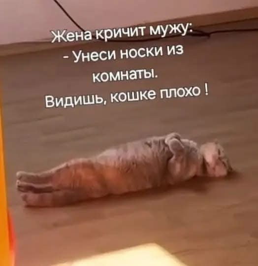 Утро баяном не испортишь