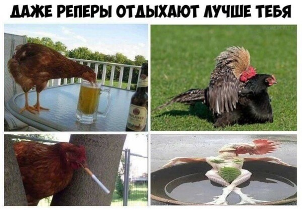Ударим дичью по бездорожью и разгильдяйству