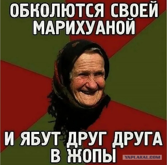 Россияне совершают преступления, начитавшись «гадостей» из интернета через VPN, сообщил депутат Госдумы Боярский