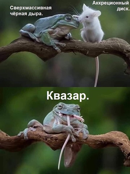 Это к нам менты что ли?