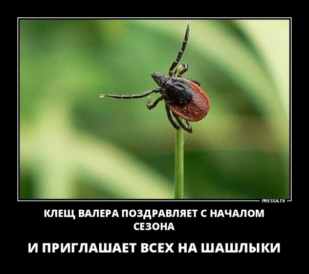 Валерий Леонтьев в Казани снял самый большой и самый дорогой номер в отеле